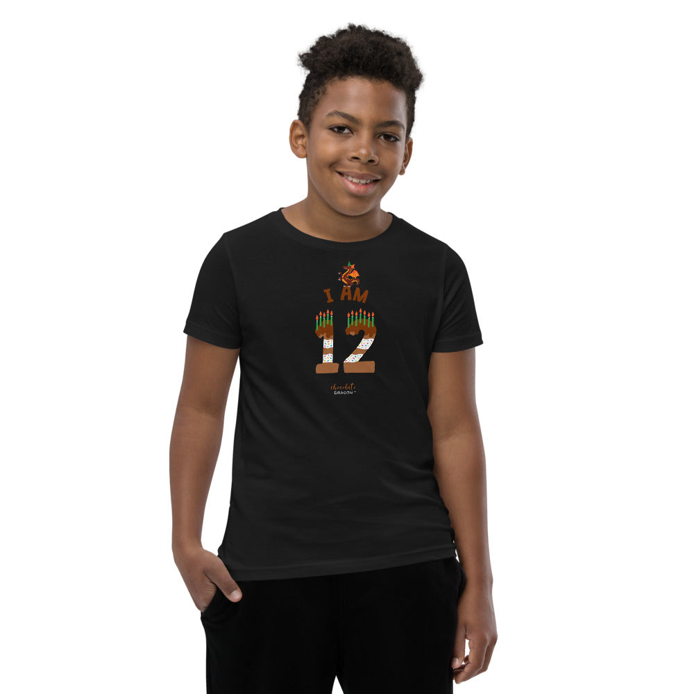 Chocolate Dragon - I'm 12 (plain) Youth Short Sleeve T-Shirt